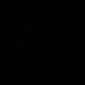 Meet your Posher, Max